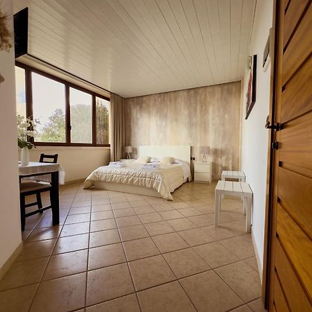 B&B Il Leccio 알베르벨로 외부 사진