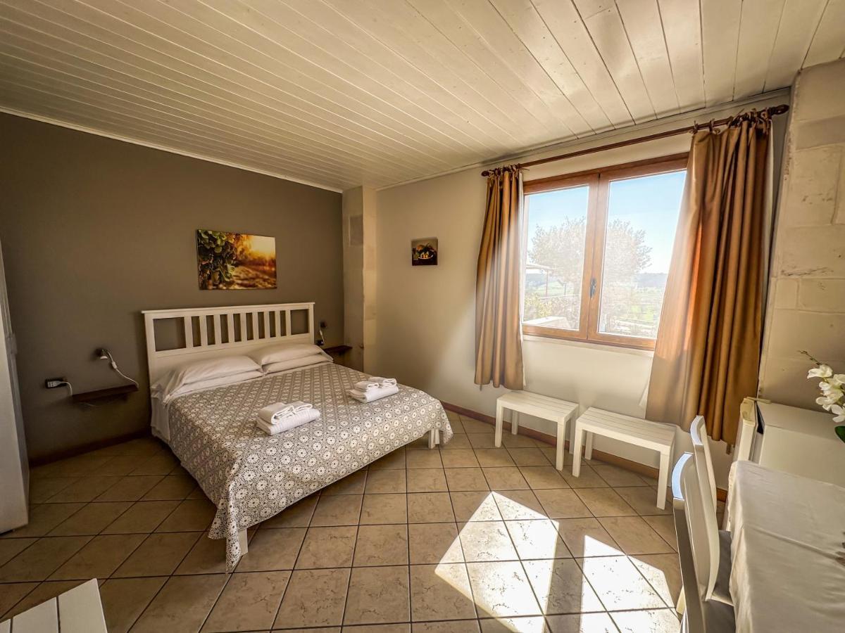 B&B Il Leccio 알베르벨로 외부 사진